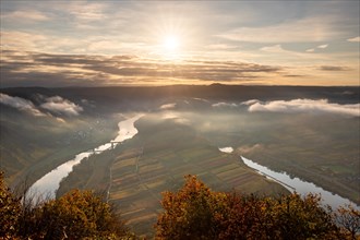 View over the Moselle valley