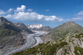 Landscape with the Aletsch Glacier World Heritage Site