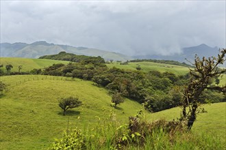 Typical landscape for Monte-Verde