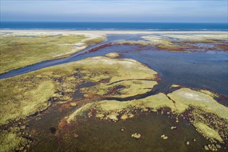 Salt marshes on the North Sea