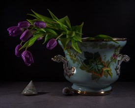 Still Life with Snail Shells and Purple Tulips in an Old Ceramic Bowl