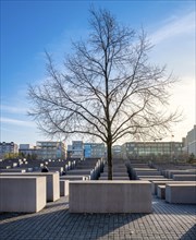Bald tree at the Holocaust Memorial