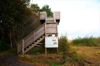 Observation tower at the moor nature trail