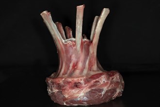 Raw saddle of lamb tied as a crown