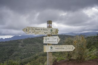 Signpost with lichen