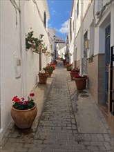 Narrow alley with flower pots