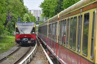 Ringbahn S 41 and S 42