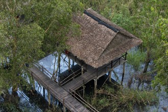 Viewing platform in the mangrove forest