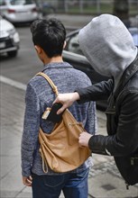 Theft of a purse from a handbag