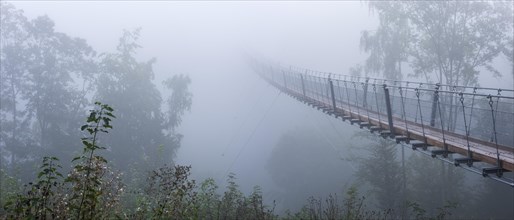 Suspension bridge over the Baerental