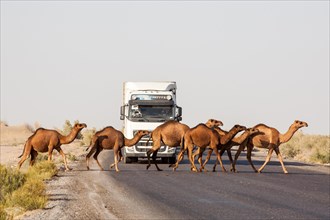 The Modern Silk Road