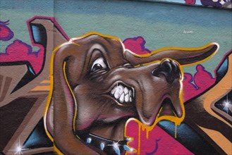 Dog with bared teeth as wall graffiti