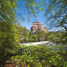 Kriebstein castle near Mittweida framed by beech trees in spring