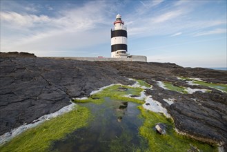 Reflection in the algae at Hook Head Lighthouse