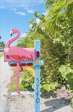 Pink Flamingo wooden mailbox