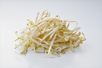 Bean sprouts