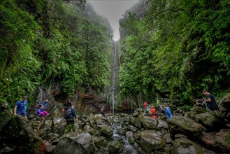 Waterfall 25 Fontes