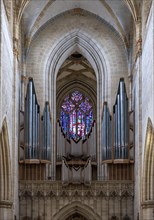 Main organ and St