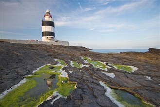 Reflection in the algae at Hook Head Lighthouse