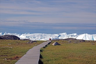 Wooden plank hiking trail leads through Arctic landscape