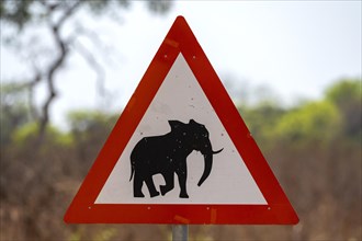 Road sign with elephant