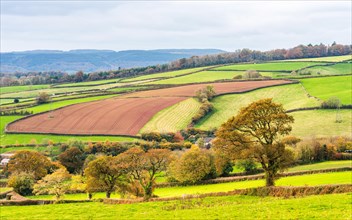 Meadows and Fields over Devon in the colors of fall