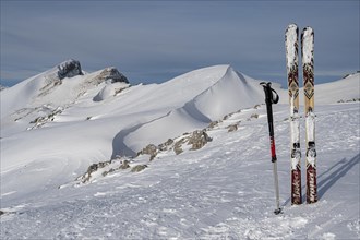Touring skis with poles at the summit of Toreck