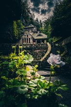 Old gasworks made of solid stone with stone steps in the middle of a gorge with forest and trees. Hrensko Czech Republic