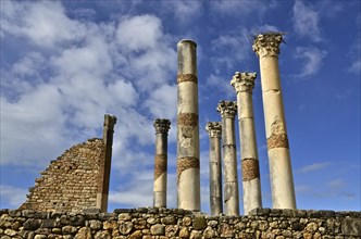 Columns of the ancient ruins of Volubilis