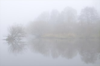 Ems oxbow lake in the fog