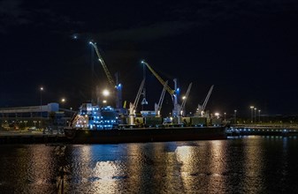 Bulk carrier DENSA SEA LION in the Port of Tyne