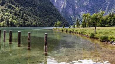 Landscape at the Obersee in Berchtesgadener Land
