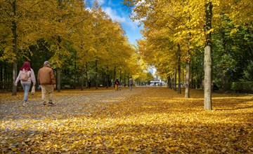 Strollers and autumnal impressions in a Berlin park