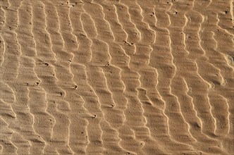 Wavy formation on clay soil on the river bank after flooding