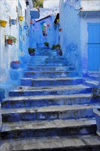Blue Stairs in Blue City Chefchaouen
