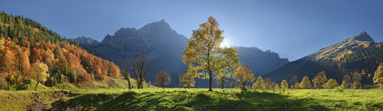 Grosser Ahornboden Panorama with autumnal colourful maple trees in low sun below the Spritzkar and Grubenkar Karwendel peaks