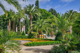 Palm garden with flower borders in the historic spa gardens