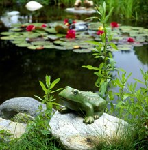 Frog figure in the garden pond