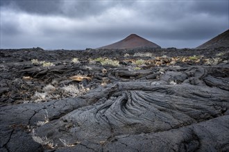 Typical volcanic landscape near La Restinga