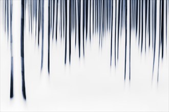 Winter forest artistically blurred