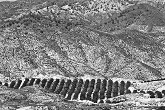 Mountainous landscape with orange plantation