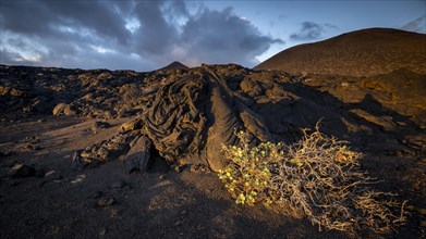 Typical volcanic landscape at La Restinga at sunset