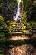The Burgbach waterfall in the middle of the green forest. Waterfall with stone steps in Schapbach