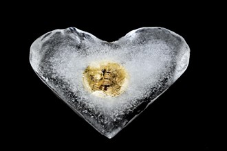 Bitcoin frozen in heart shape