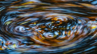 Leaves in the river Bode in the autumnal Harz