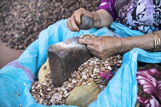 Woman knocks open the hard kernels of the argan nut with the help of two stones