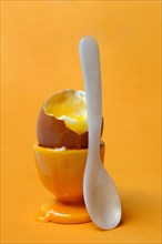 Soft boiled breakfast egg in egg cup with spoon