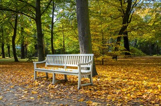 White bench in autumnal park