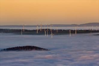 Wind turbines illuminated by the sun and forest rising from cloud cover
