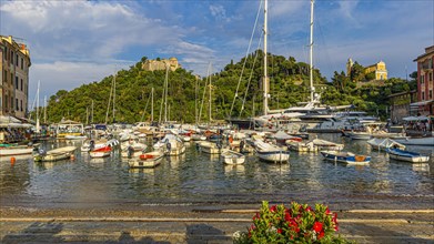 Boats and luxury yachts anchored in Portofino harbour